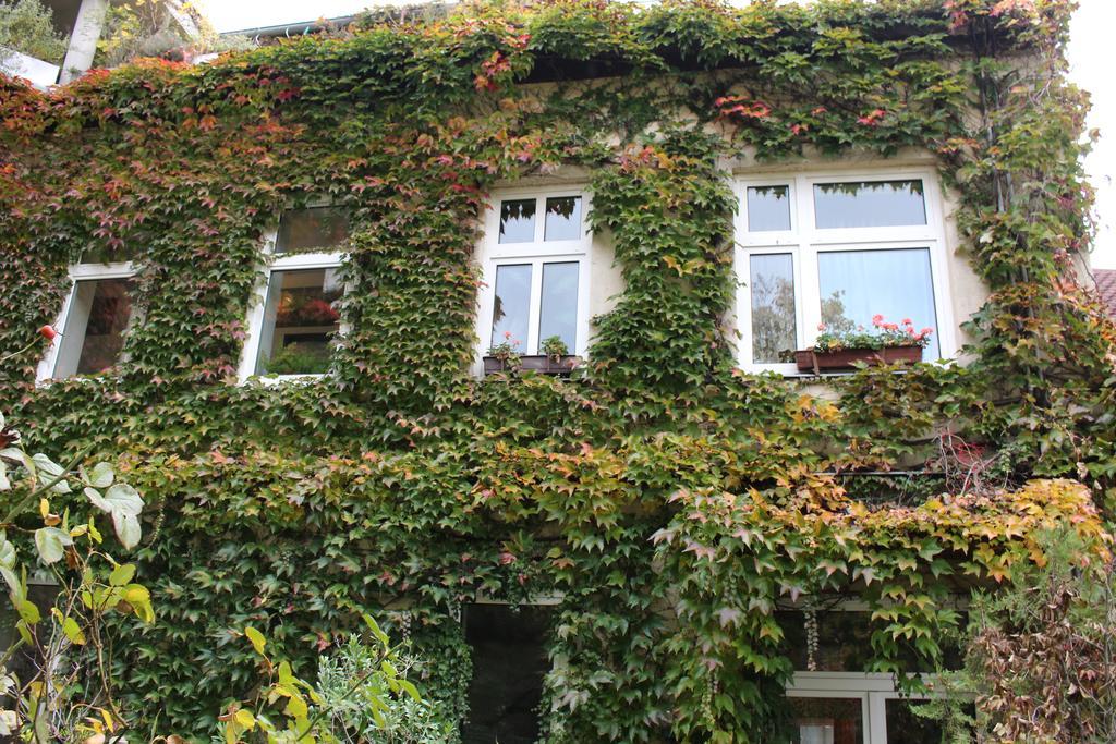 Hotel Wiener Kindl Exterior photo